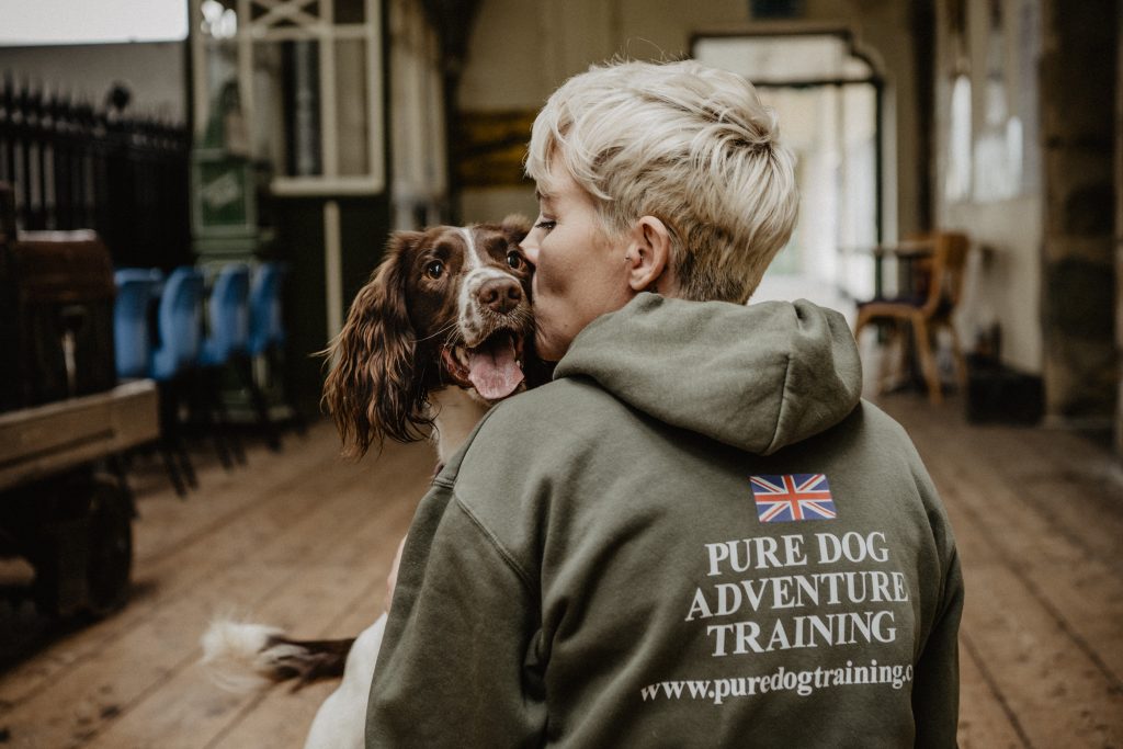 Where To Buy The Best Dog Behavior Tools Online