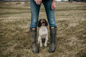 Puppy Classes in Darlington, Puppy Classes, Foundation Classes, Dog training near me
